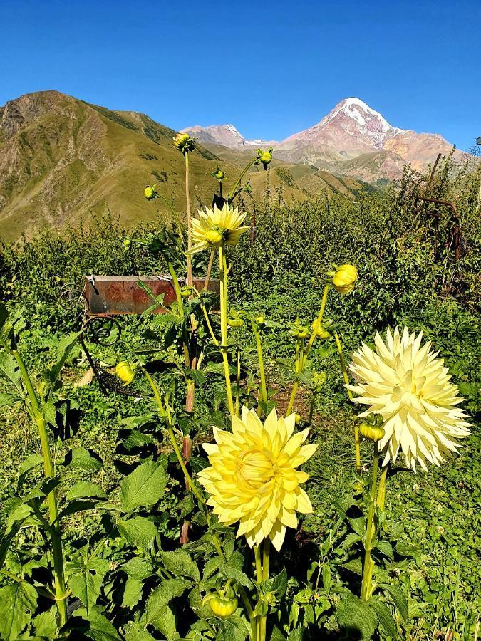 Nikolo Inn Kazbegi Exterior photo